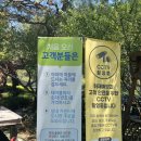 숲속의 둥지 | # 청주 맛집- 야외 바베큐 '숲속의 둥지' 후기