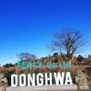 새마을공원길R | 제주 오름속으로 걷는 시간 | 송당 동화마을과 스타벅스 더제주송당파크R점