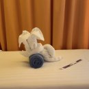 세레나몰 이미지