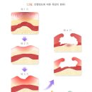 연세에덴요양병원 이미지