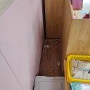 효자 초등학교 병설 유치원 네이버블로그