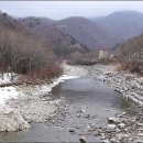 봉평메밀꽃막국수 이미지