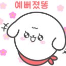 사개절펫살롱