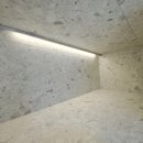 켈리 독, 강남 애견호텔 애견유치원 이미지