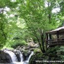 계곡이 있는 풍경 이미지