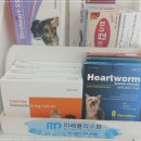 유림온누리약국 이미지