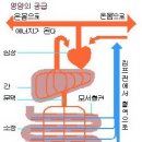 솔리톤 이미지