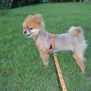 예술관길 이미지