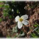 서일목장 이미지