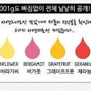 메리디어 네이버블로그