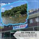 알프스캠핑장 | 물놀이 하기 좋은 곳,대구근교 물 맑은 계곡, 밀양 계곡 캠핑장,계곡 추천 ‘알프스 캠핑장’ 솔직 후기