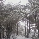 대강면 석촌마을 이미지