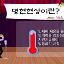 힐스템건강 이미지