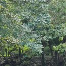 하늘아래 펜션 이미지