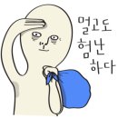 베이비또율 이미지