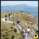 바람의 언덕 이미지