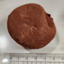 GS25  동탄세비앙점 | 편의점 두쫀쿠 GS 두바이쫀득초코볼 솔직 후기 / 예약 방법, 맛 비교