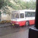 삼신교통 이미지