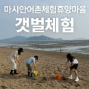 마시안어촌체험휴양마을 | 📍60초 [장소백과] – 인천 마시안 어촌체험휴양마을아이와 함께, 조개보다 큰 추억을 건지는 체험지 🐚🧒🏻🌊
