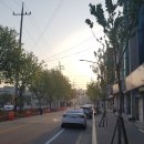 연봉중앙로 이미지