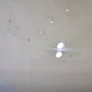 (유)삼보환경엔지니어링 | 급수배관 및 온수배관청소 리얼 후기