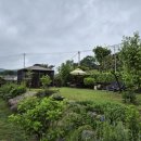 안대머리농가민박 이미지