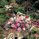 대둔산 호텔 이미지