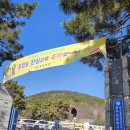 금사중학교 | 금사초77회,금사중44회 졸업식 후기 그리고 부산 새해 첫눈