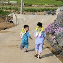 하비함미 이미지