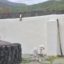 철이네 촌캉스 이미지