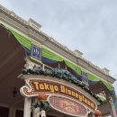 당당하개 | 도쿄 디즈니씨 가려다가 실수로 디즈니랜드 다녀온 후기