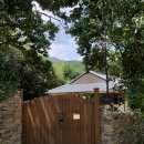 스테이모네 이미지