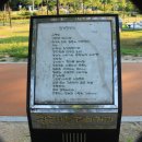 황금비늘 테마거리 이미지