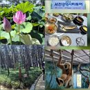 송림환경(주) | 부여 서천 여행 궁남지 서동연꽃축제 서천시티투어 국립생태원 장항송림 산림욕장 (로망스투어)