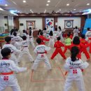 세종 효 태권도 이미지