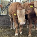 형우농장 이미지