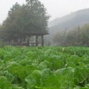 삼가관광농원 이미지