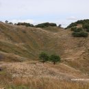 발구덕중간 이미지