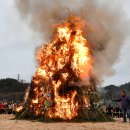 정월농산 이미지