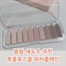 봄웜라이트 섀도우 추천, 투쿨포스쿨 피치 플레인 후기