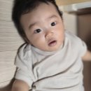 26년 8월 2일 설이 이미지
