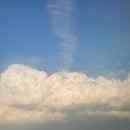 애월정의원 이미지