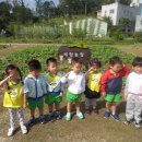 상일농장 이미지