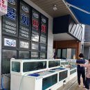 율포해수욕장 | 전남 보성 율포해수욕장 맛집 갯마을횟집 방문 후기
