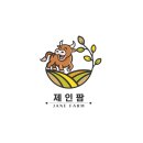 디자인팜 이미지