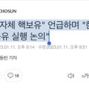 尹 "자체 핵보유" 언급하며 "한미 핵공유 실행 논의" 이미지