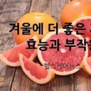 자몽 효능 자몽차 효능 이미지