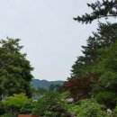 대야원 이미지