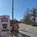 방목흑돼지 | 이천 부발읍 숨은 맛집 "야외 감성! 쫄깃함이 다른 톱밥방목 흑돼지 생고기 영접 후기