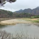 백사장천 네이버블로그